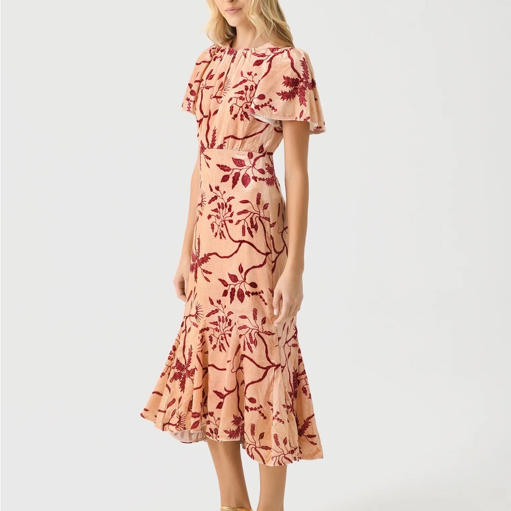 $595 NWT Rhode Arabella Velvet Dress in Cream Enchanted Vine Grande Sz 4